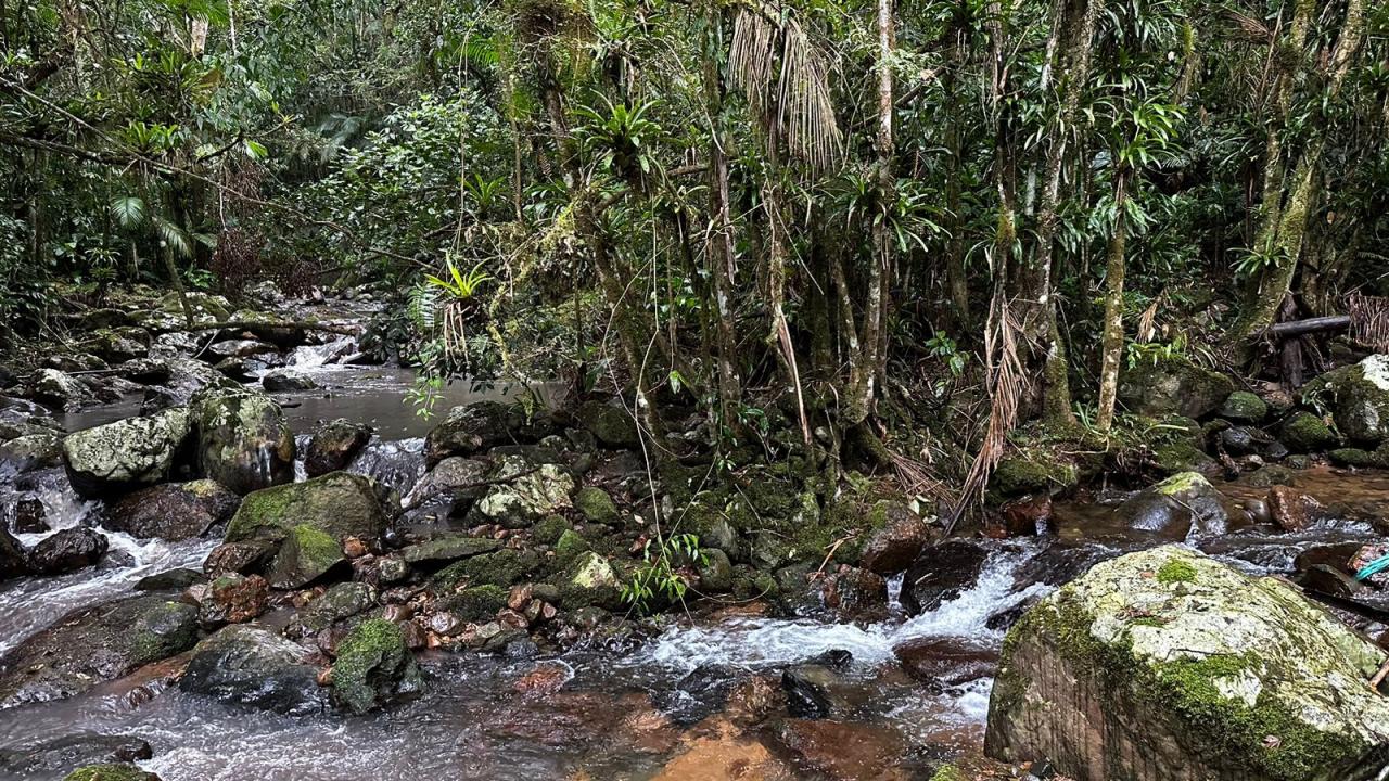 Denuncia de poluição no rio Ano Bom