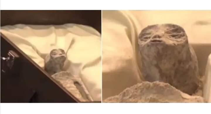 Supostos cadáveres alienígenas são apresentados no México