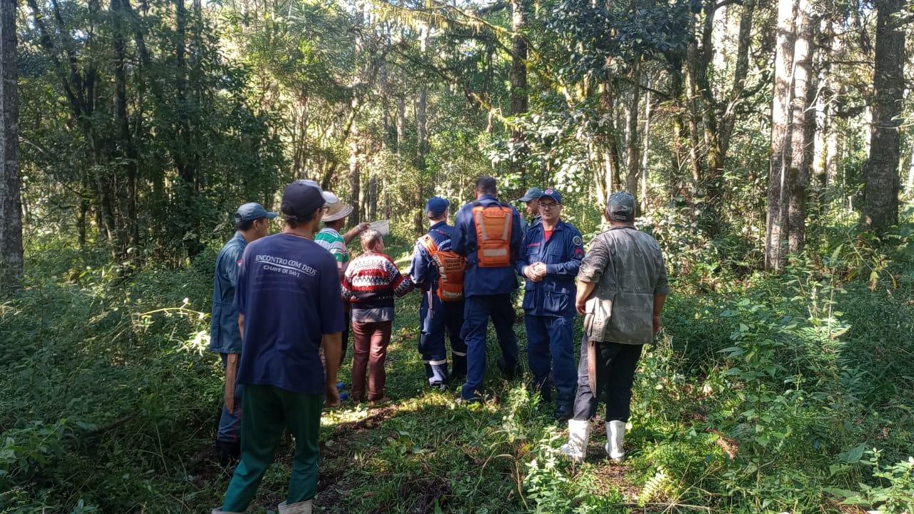 Idosa sai pra catar pinhão e se perde na mata em Irineópolis