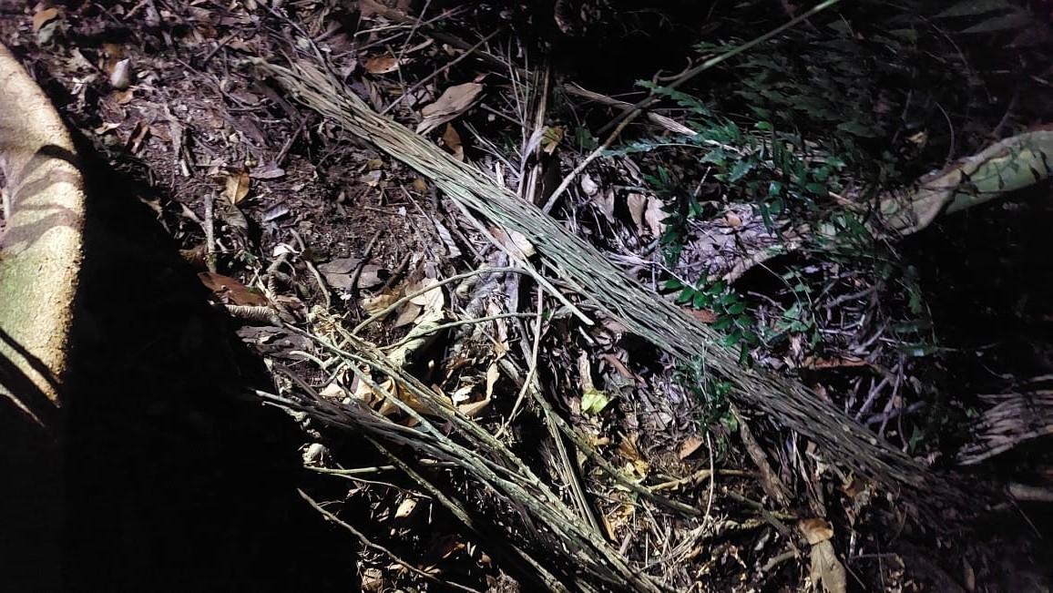 Idoso encontrado morto na mata em Blumenau