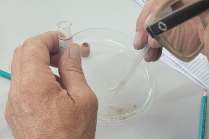 Saúde vai emitir boletim semanal sobre a dengue em São Bento do Sul