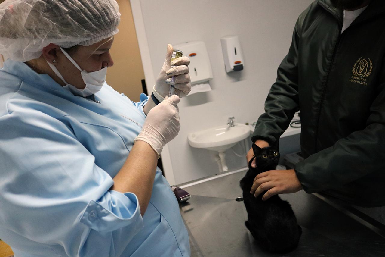 Aprovado o Programa de Apoio ao Protetor Animal