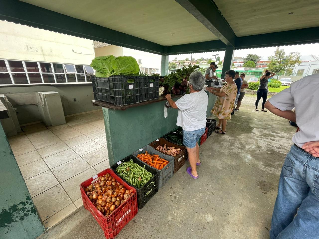 Câmbio Verde contabiliza 15 toneladas de materiais recicláveis arrecadados