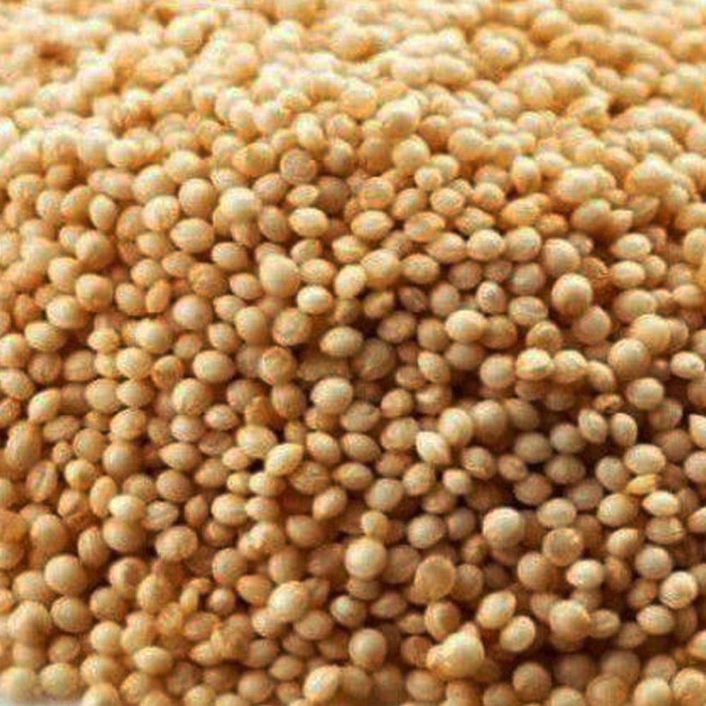 Benefícios da semente de Amaranto para a Saúde