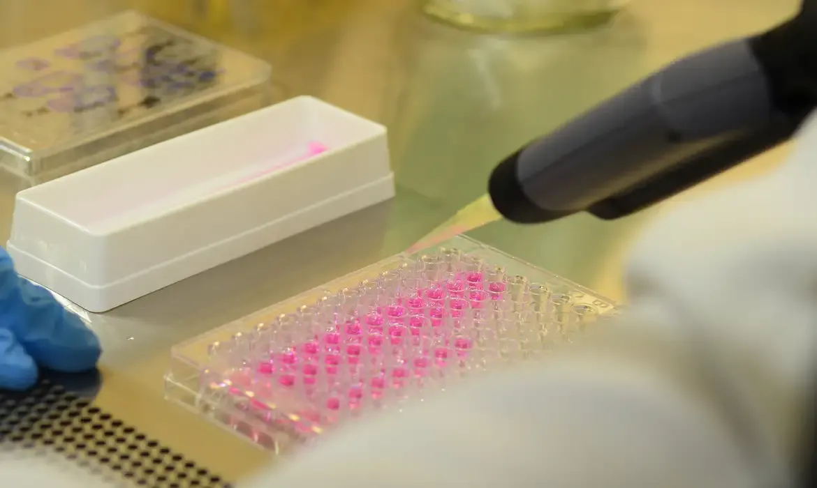 Vírus zika pode voltar a se replicar após recuperação