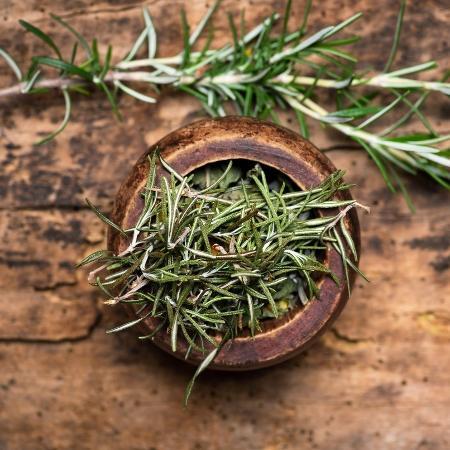 O poder das plantas: alecrim e seus benefícios