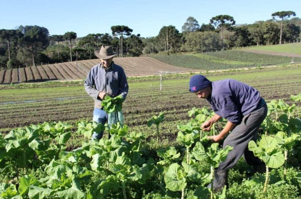Pronaf 2023/2024 investiu R$ 8 bilhões na agricultura familiar em SC