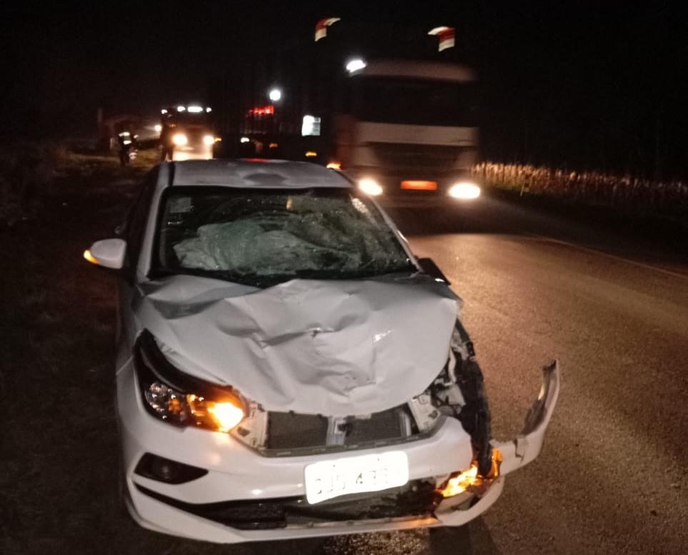 Atropelamento em Três Barras Resulta em Duas Mortes na BR 280