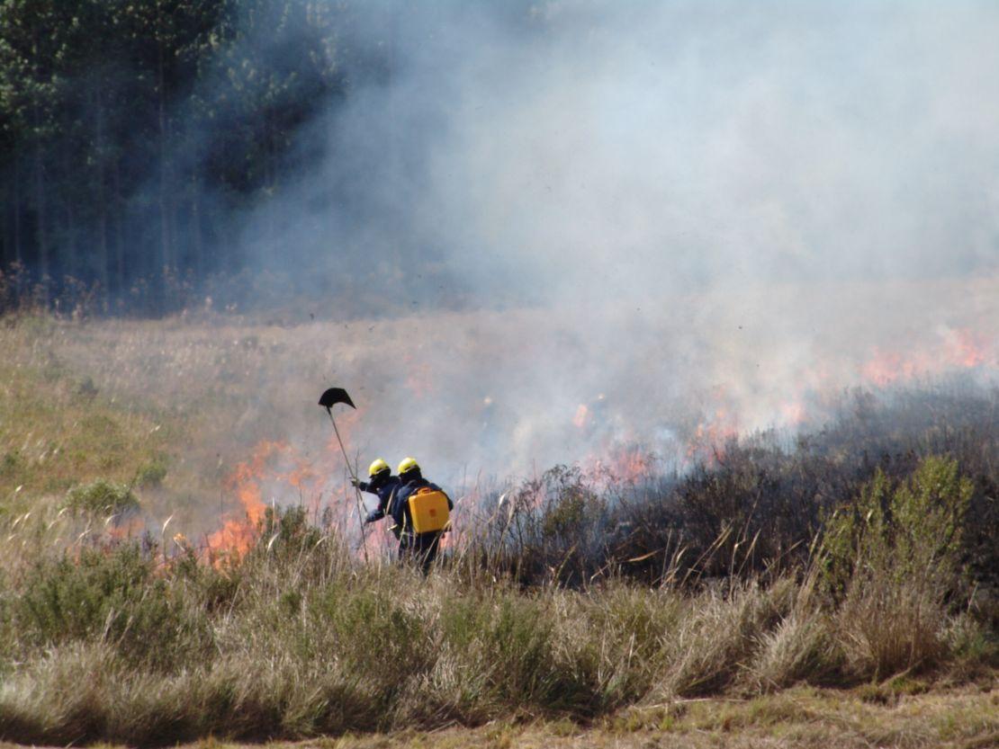 CBMSC ORIENTA SOBRE COMO PREVENIR INCÊNDIOS FLORESTAIS