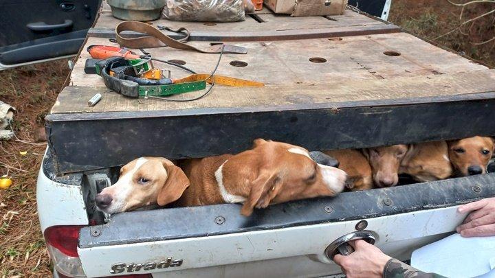 Homem preso por caça ilegal em Santa Catarina