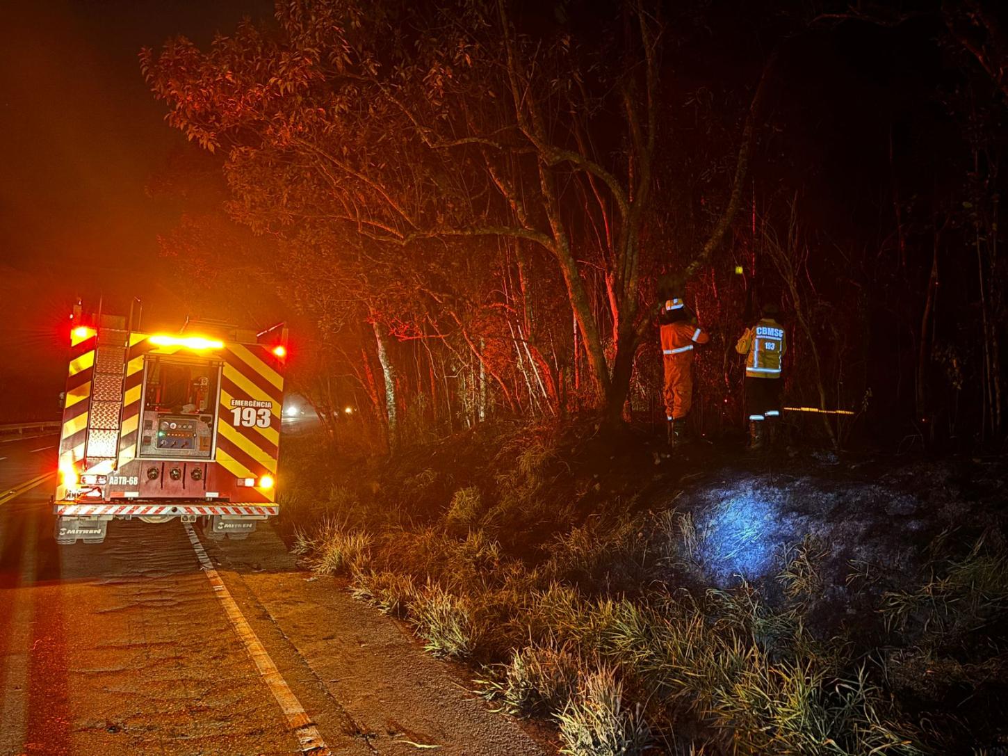 Incêndio em vegetação na SC 418 em Campo Alegre