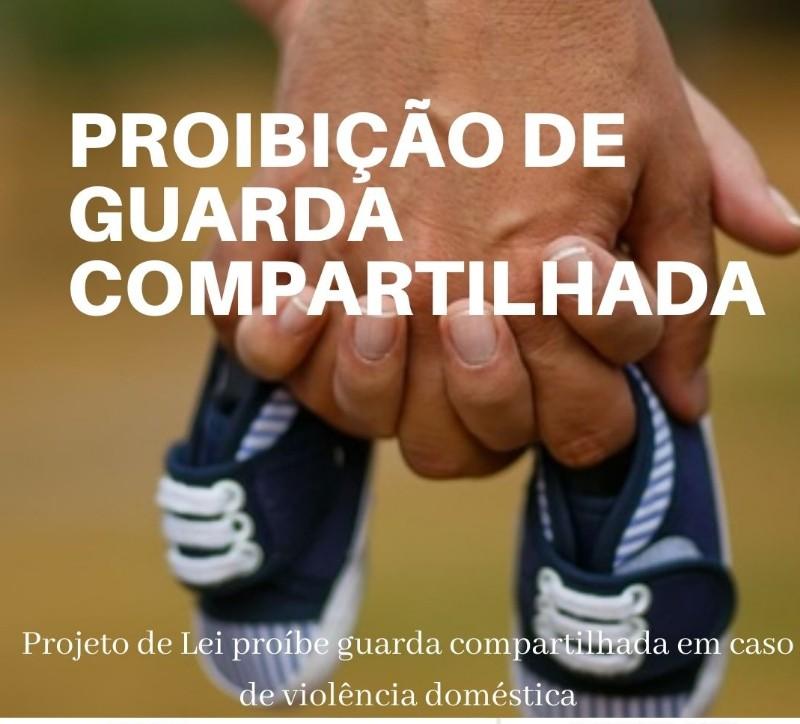 Lei proíbe a guarda compartilhada em caso de violência doméstica