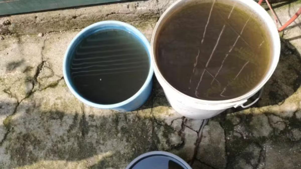 Santa Catarina tem chances de receber a “chuva preta