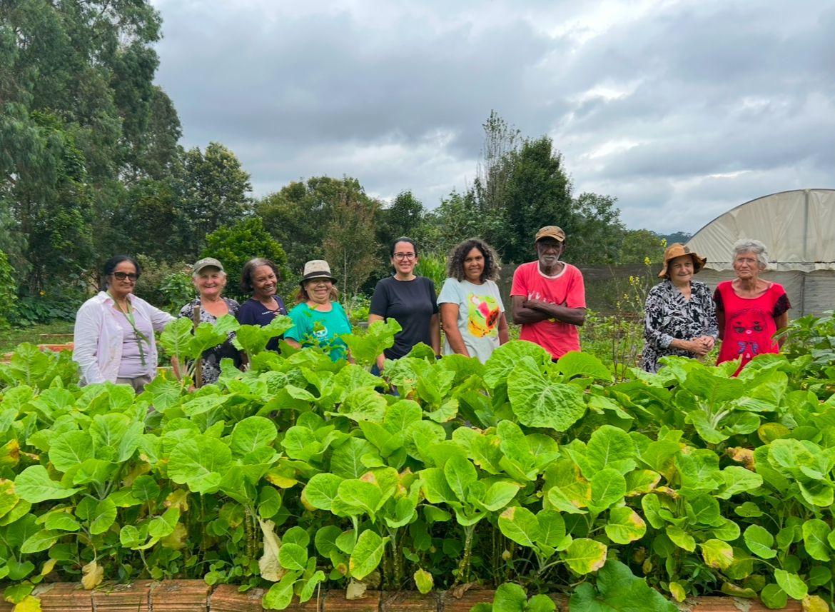 Os benefícios das hortas comunitárias em São Bento do Sul