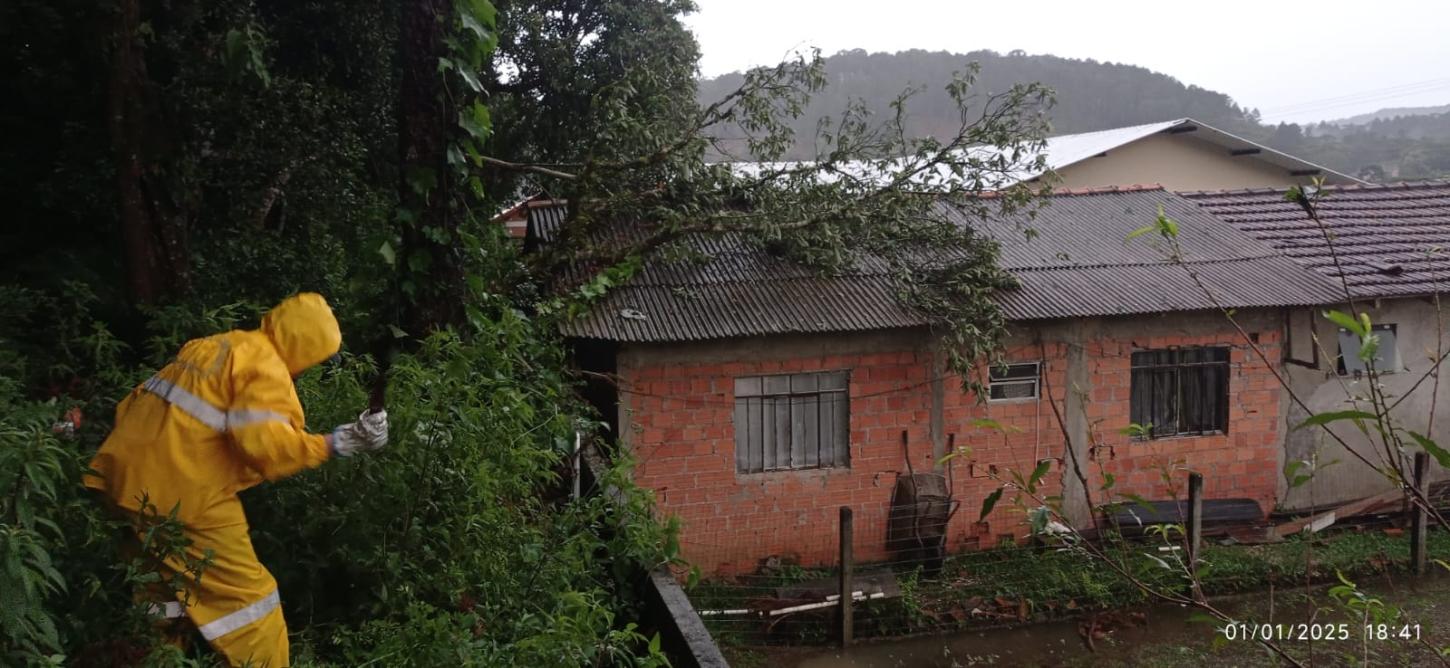 Queda de Árvore em cima de residência em Campo Alegre