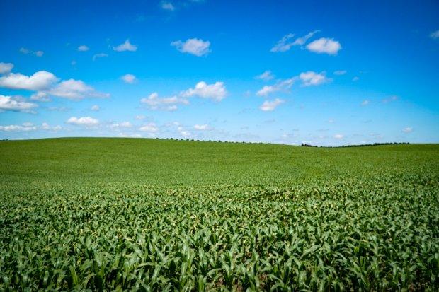 Santa Catarina pode ter La Niña de fraca intensidade