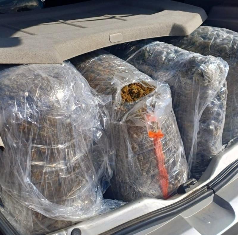 Perseguição na BR-101 termina com 40 quilos de skunk e ecstasy apreendidos