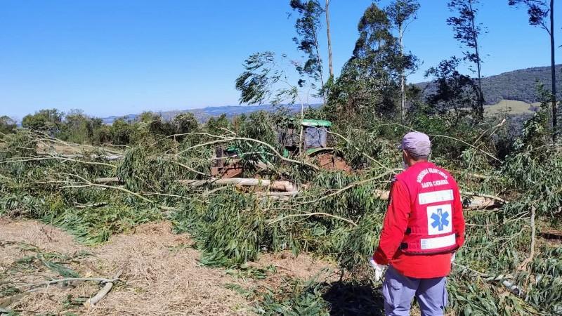 Árvore mata trabalhador idoso em Irani SC