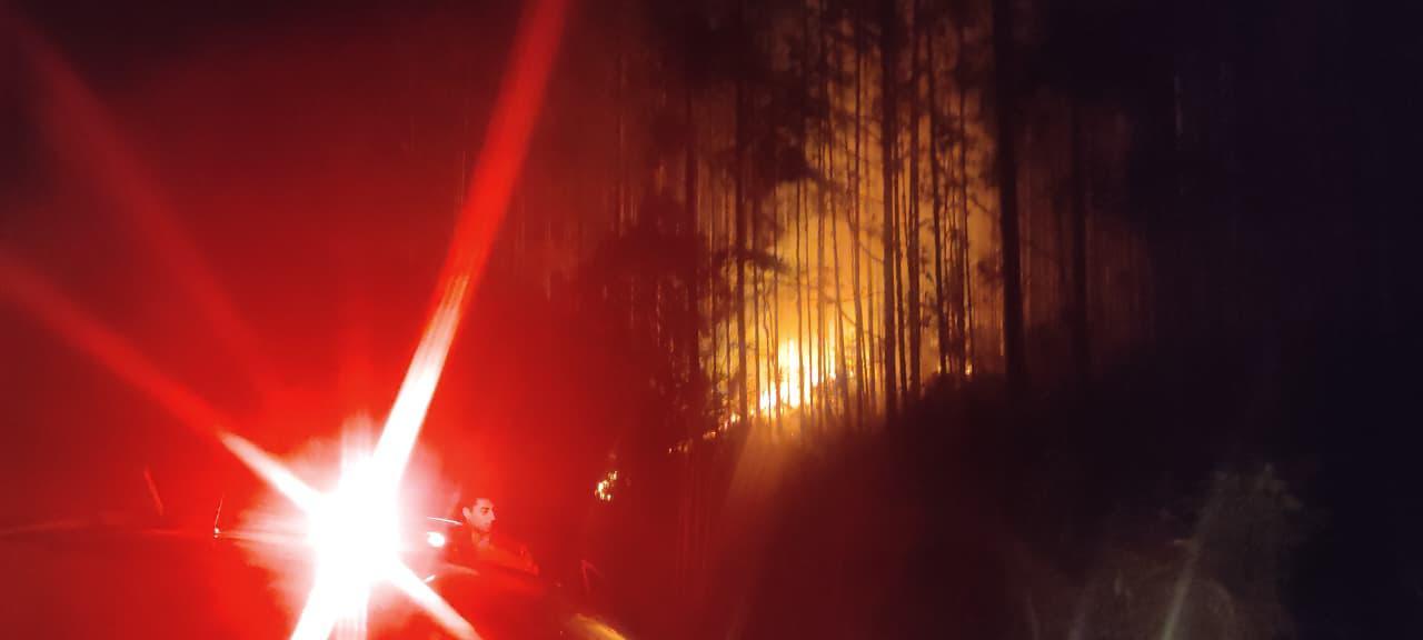Bombeiros combatem incêndio em vegetação no bairro Mato Preto