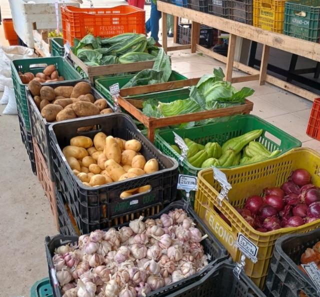 Bairro Brasília recebe edição do Câmbio Verde nesta sexta-feira (19)