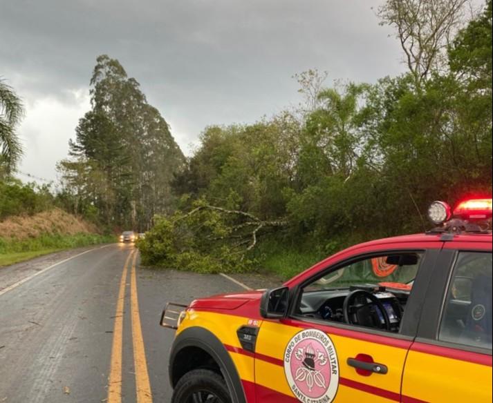 Bombeiros atendem 151 ocorrências por causa das chuvas em Santa Catarina
