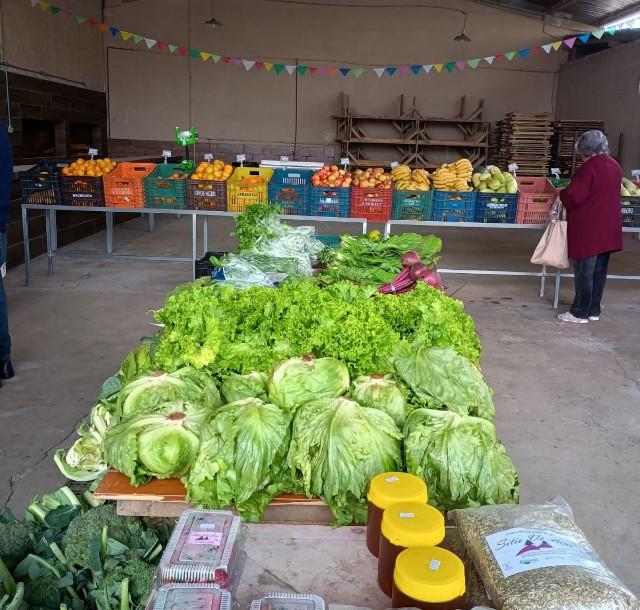 Câmbio Verde arrecada mais de 6 toneladas de recicláveis no bairro Brasília