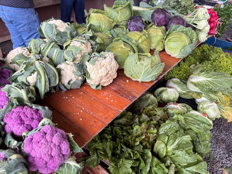 Câmbio Verde arrecada mais de 6 toneladas de recicláveis no bairro Cruzeiro