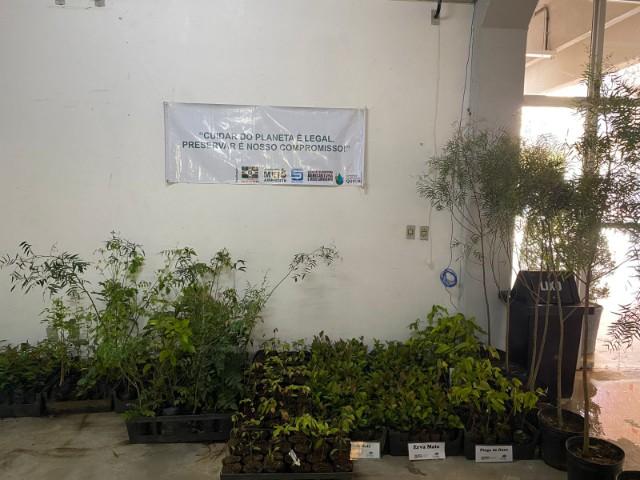 Distribuição de mais de 2 mil mudas de árvores durante evento “Viva São Bento”