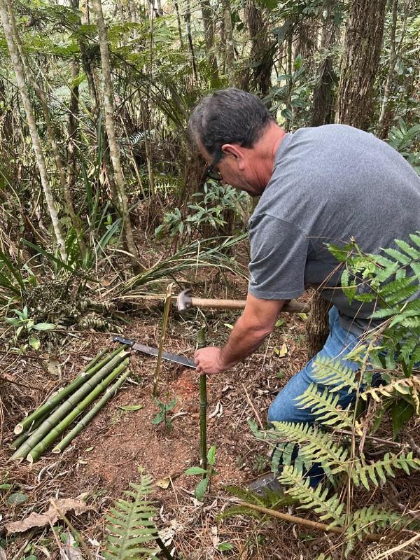 EMHAB realiza plantio de mudas nativas