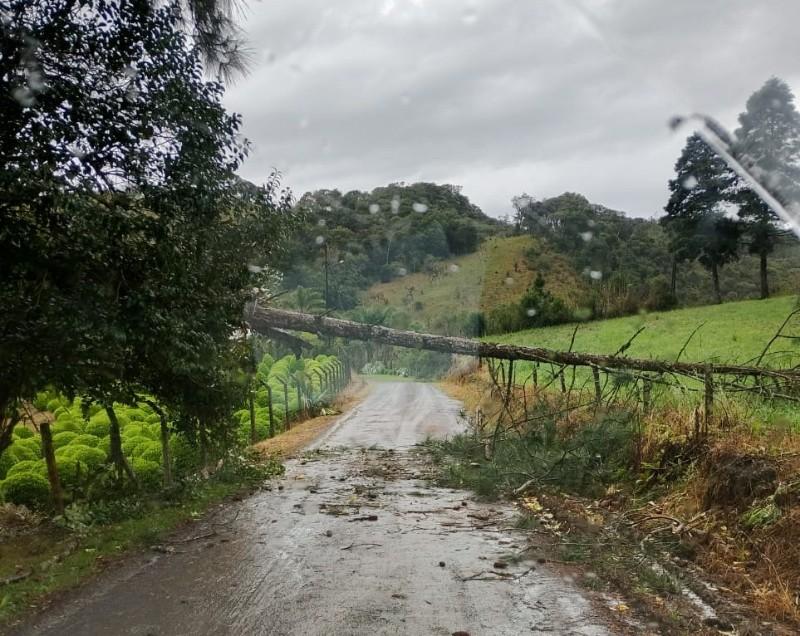 Estragos registrados em São Bento do Sul