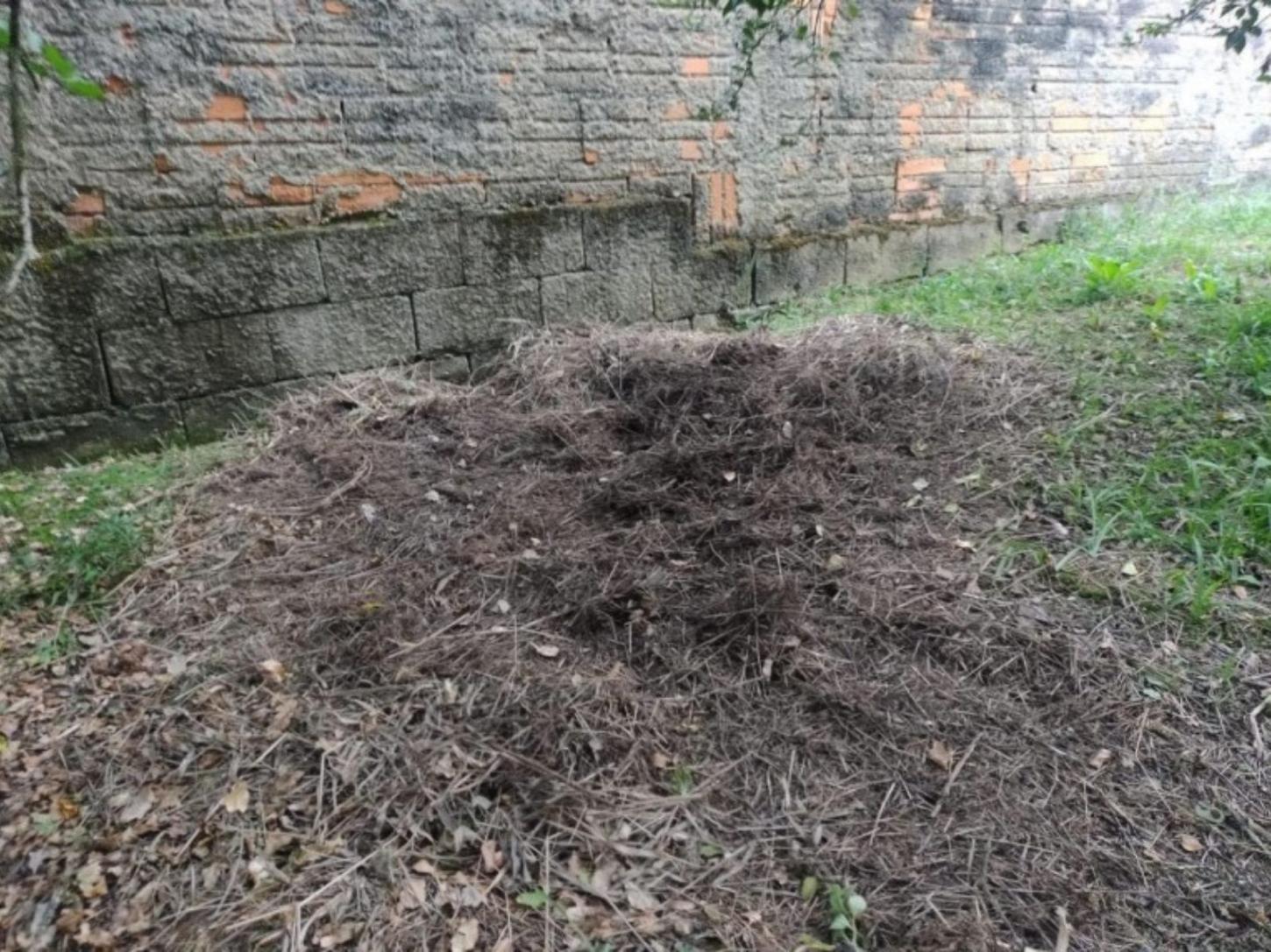 Jovem é condenado por matar mulher com 47 facadas em Blumenau