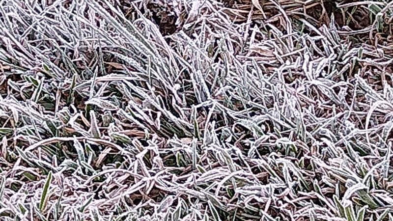 Queda brusca da temperatura traz geada para Santa Catarina
