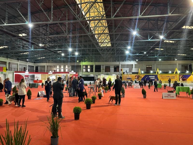 São Bento do Sul recebe a Exposição  de Aniversário da CBKC