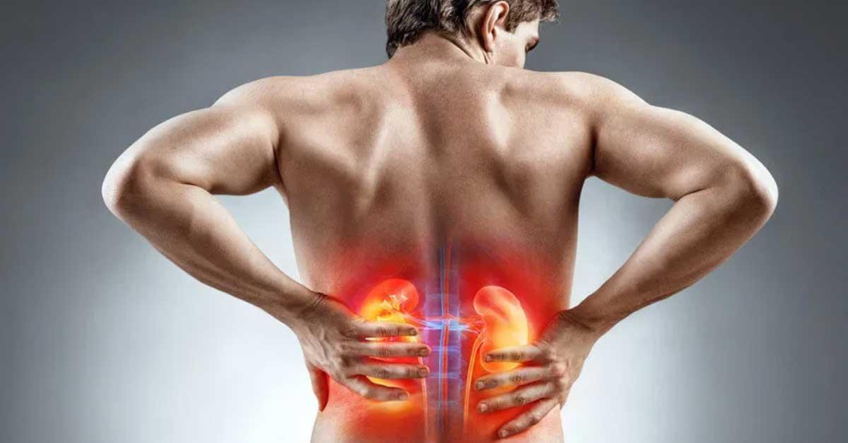 Insuficiência renal: sintomas, causas e tratamentos da doença que afeta os rins