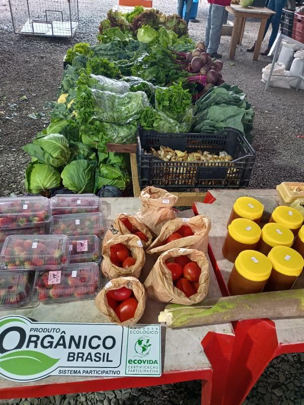 Programa Câmbio Verde conquista o Prêmio Fritz Müller 2025