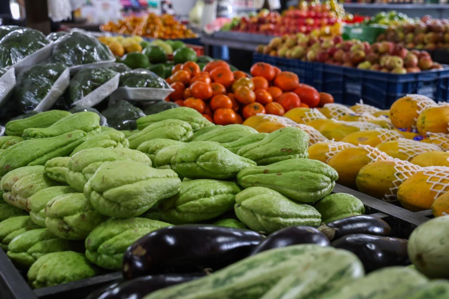 SC tem a maior proporção de domicílios com Segurança Alimentar do país