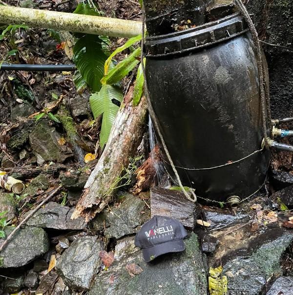 Homem é atingido por tronco de árvore durante ventania em Botuverá