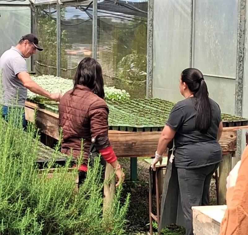 Você sabe de onde vêm as flores que embelezam nossa cidade?