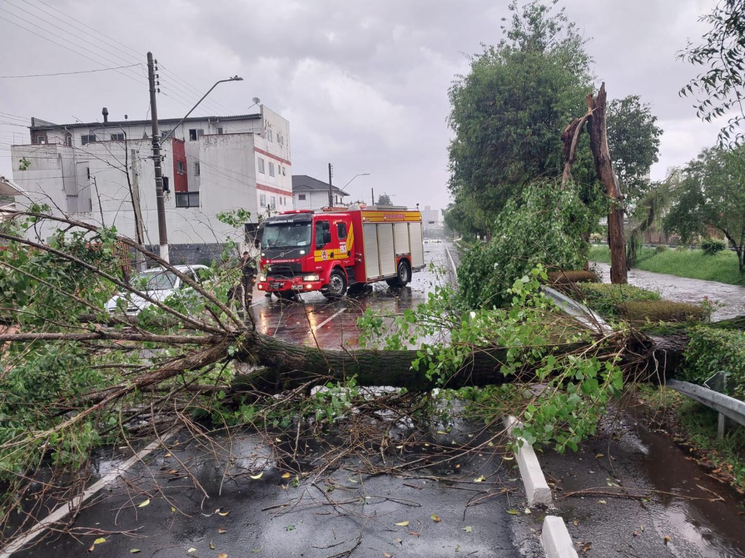 Vendaval causa queda de árvores e destelhamentos em Lages