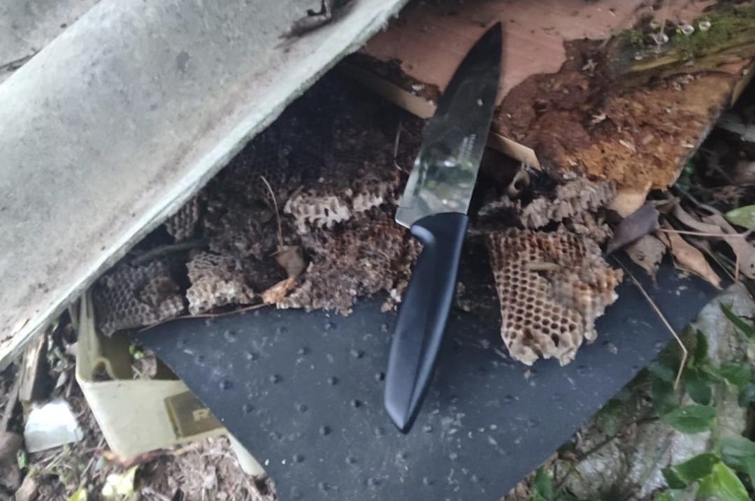 Adolescente detido após esfaqueamento em Serra Alta