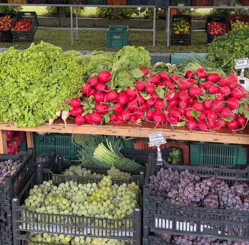 Edição do Câmbio Verde acontece no bairro Centenário nesta sexta-feira (20)