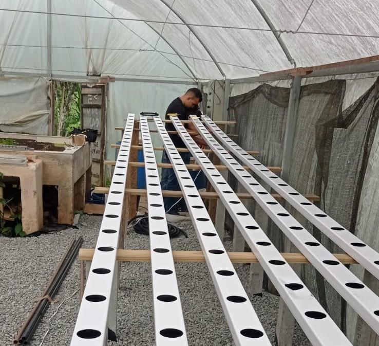 Oficina  prática vai ensinar  primeiros passos na  hidroponia em Serra Alta