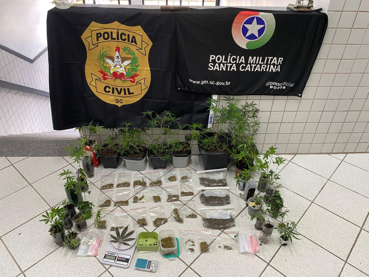 Operação da Polícia encontra drogras em São Bento do Sul