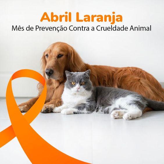 Abril Laranja: Conscientização contra a crueldade animal reforça a importância do bem-estar