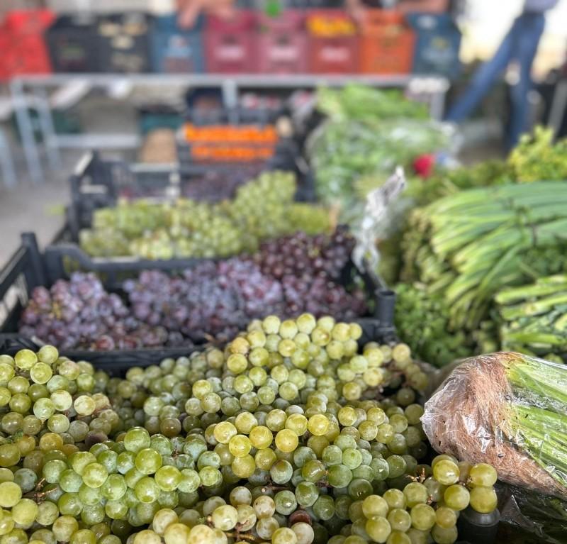 Programa Câmbio Verde será realizado no bairro Cruzeiro nesta sexta-feira