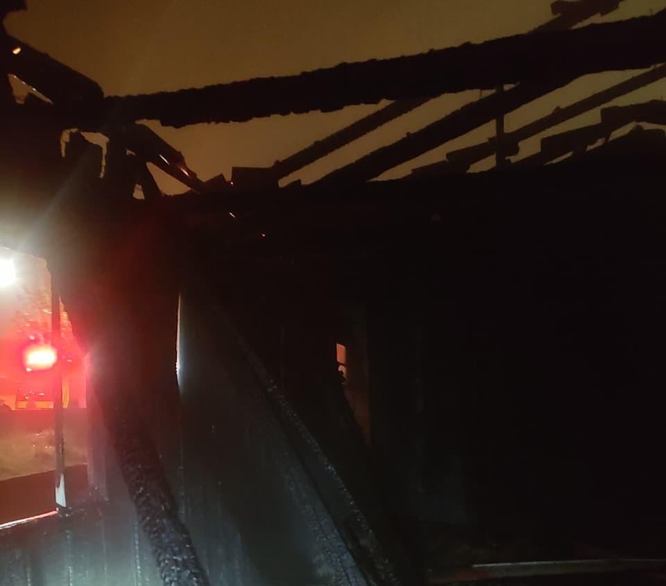 Bombeiros resgatam cachorro e gato de incêndio em Campo Alegre 
