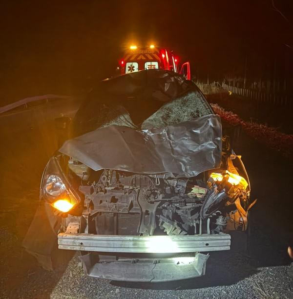 Cavalo solto morre após ser atingido por carro na BR-280 em São Bento do Sul; família escapa ilesa