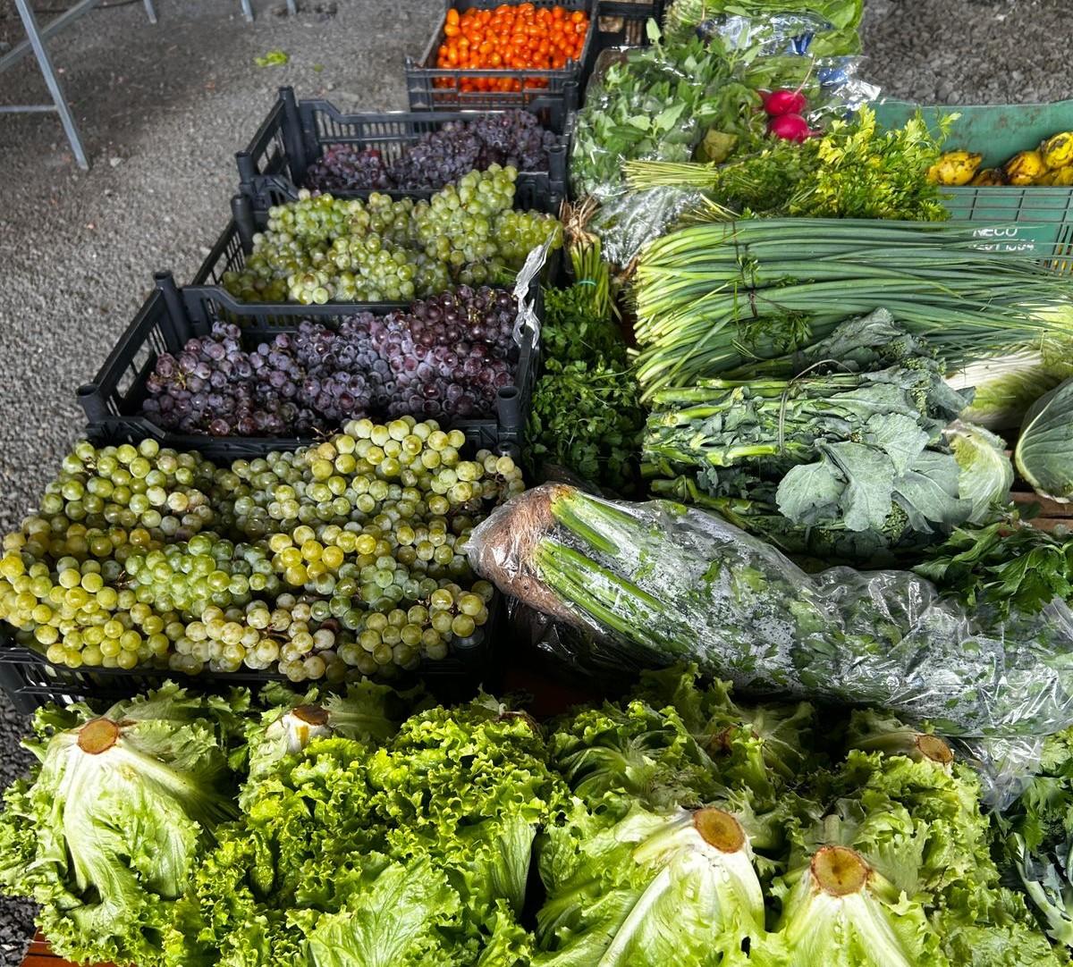 Edição do Câmbio Verde acontece nesta sexta-feira