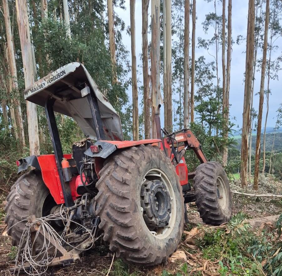 Idoso fica gravemente ferido após ser atingido por árvore em Mafra-SC 