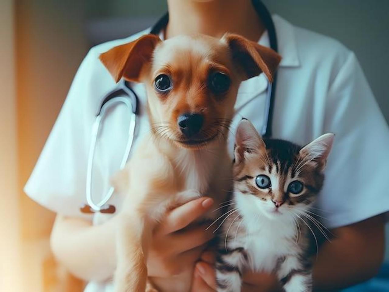 São Bento do Sul confirma 5ª etapa do Programa Pet Levado a Sério